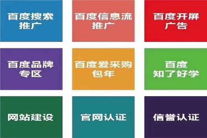 实战解析：SEM网络推广成功案例分享